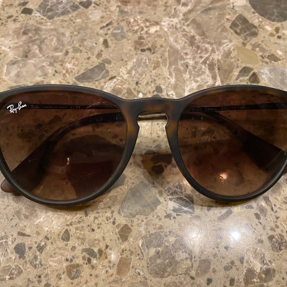 Ray Ban Erika Classic (Matte Tortise)